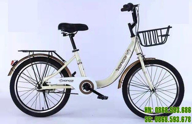 Xe đạp cho bé gái 230A size 20-22 inch 1