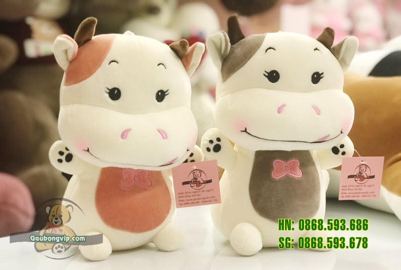 Bò sữa nhỏ 2