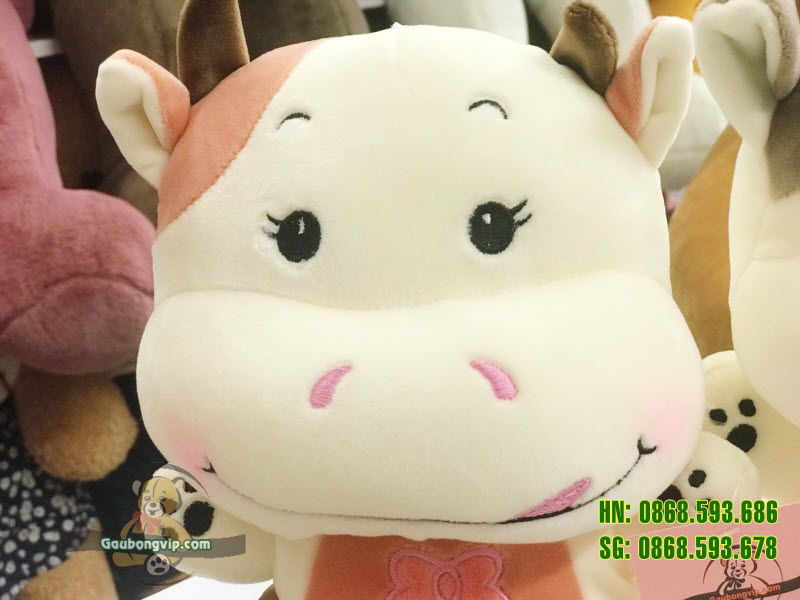 Bò sữa nhỏ 6