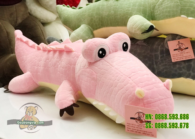 Cá sấu nhiều màu 3