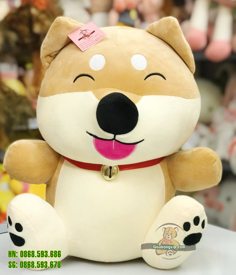 Chó Shiba ngồi chuông 1 Chó Shiba ngồi chuông 1