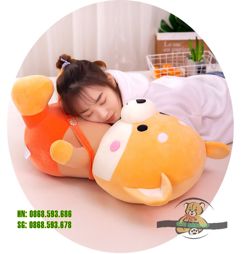 Chó shiba quần treo 9