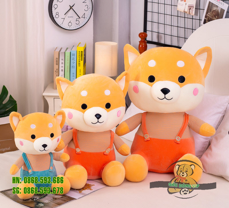 Chó shiba quần treo 10