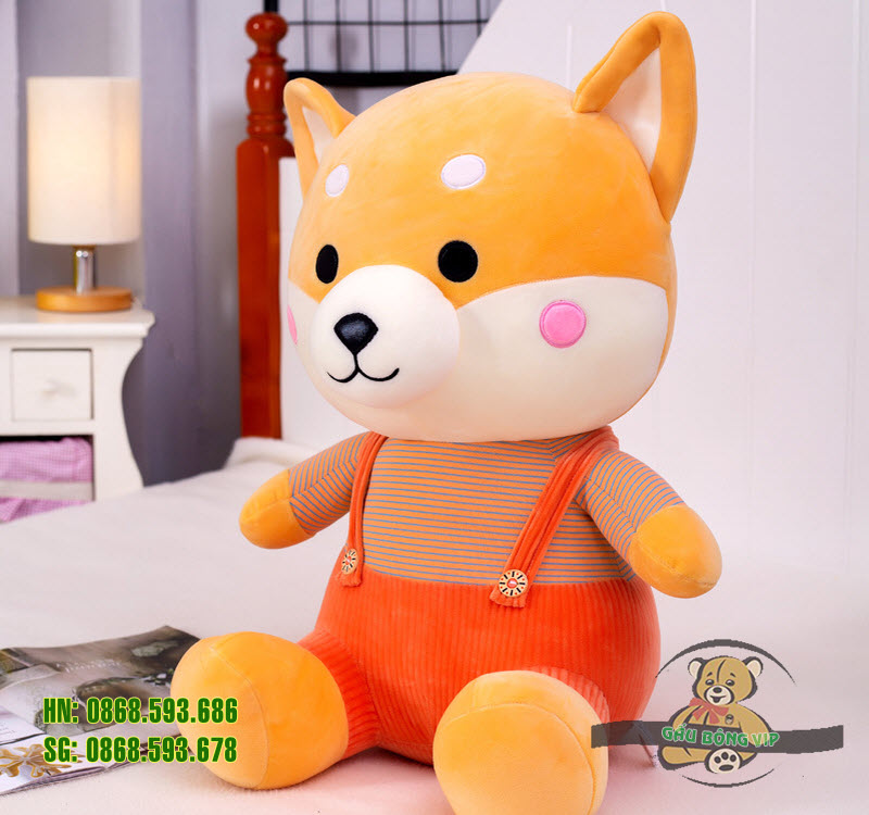 Chó shiba quần treo