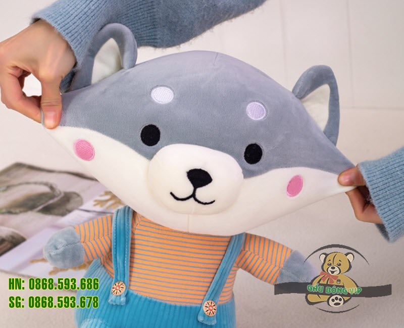 Chó shiba quần treo 3