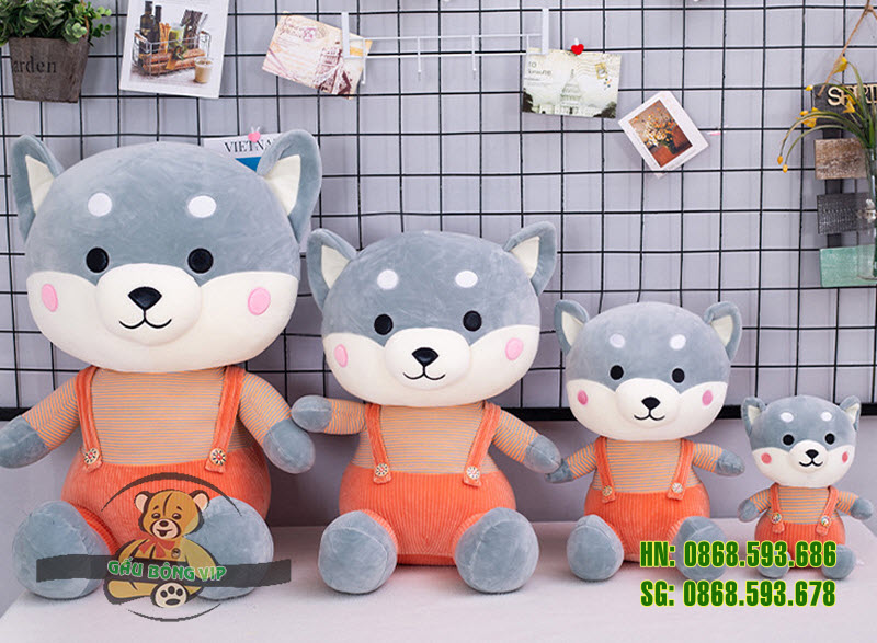 Chó shiba quần treo 5