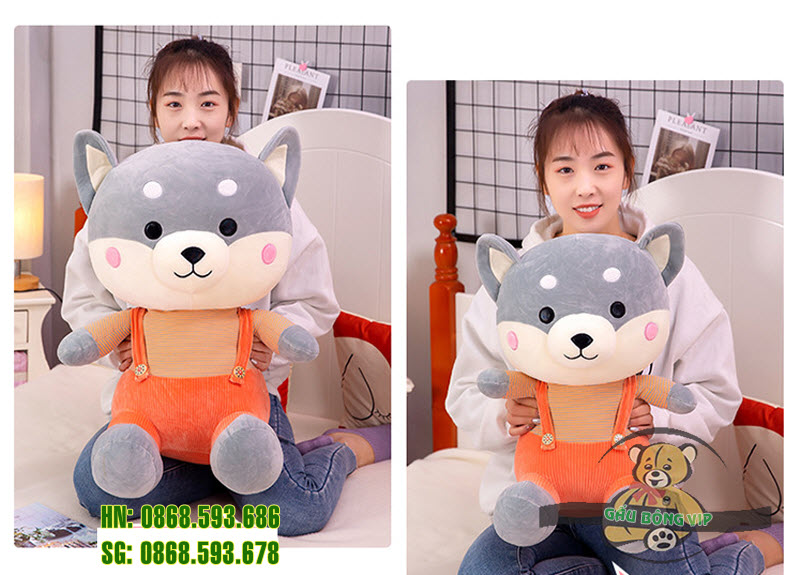 Chó shiba quần treo 6