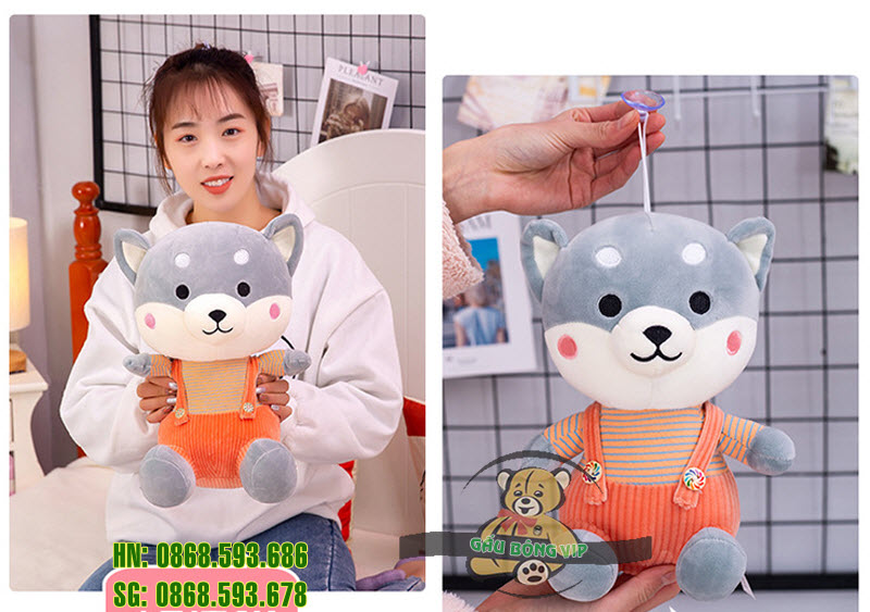 Chó shiba quần treo 7