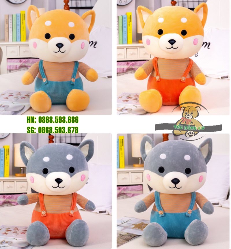 Chó shiba quần treo 8