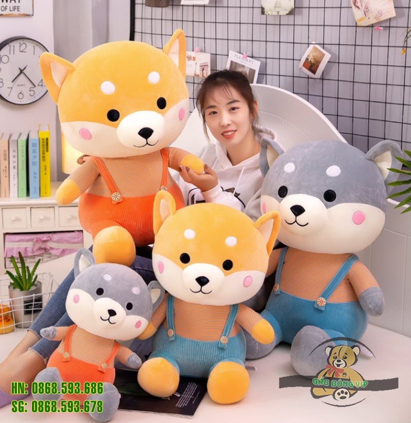 Chó shiba quần treo 11