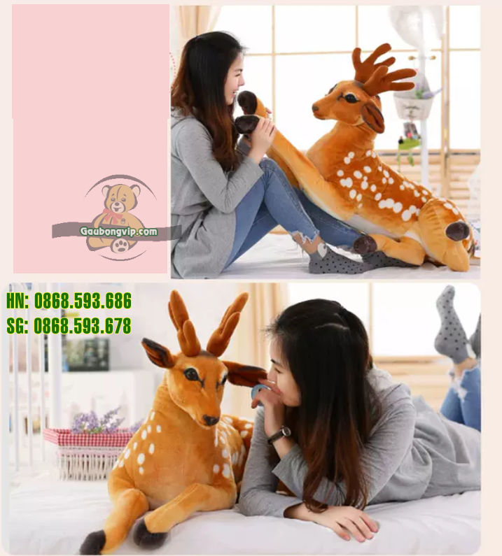 Hươu sao bông 5 Hươu sao bông 5