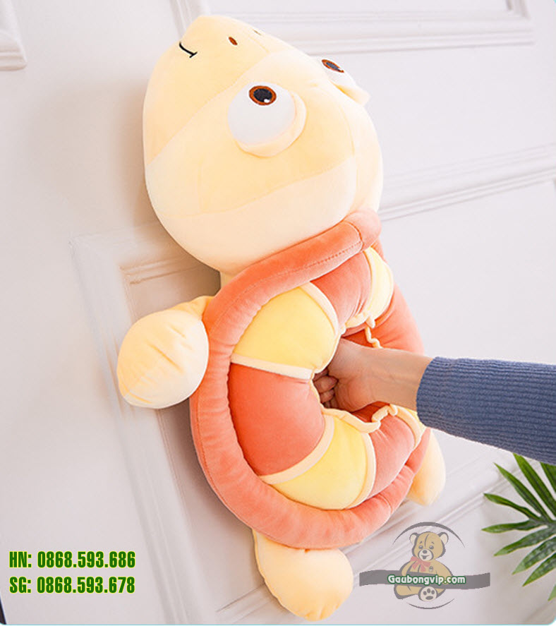 Rùa mắt to 5