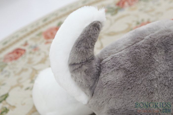 Đuôi chó bông husky đẹp