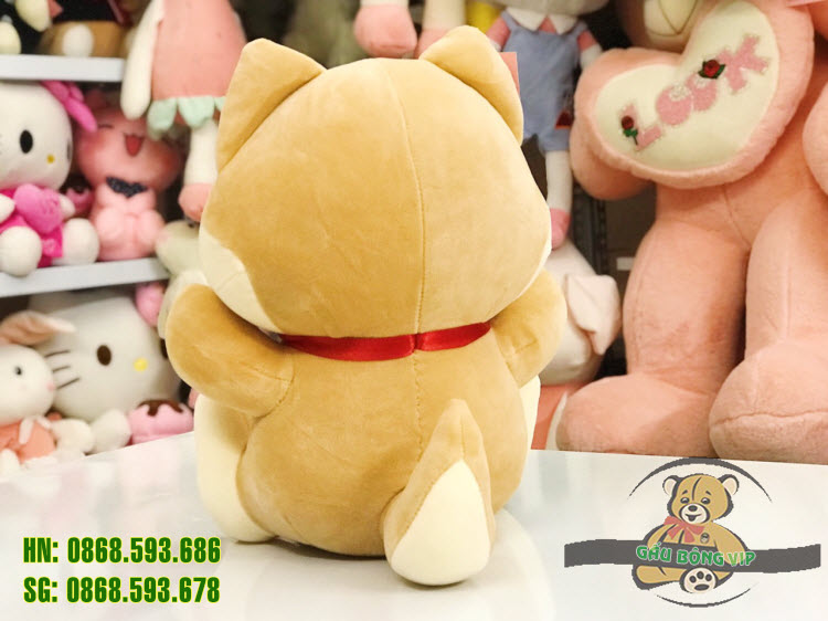 Chó Shiba ngồi chuông 4 Chó Shiba ngồi chuông 4