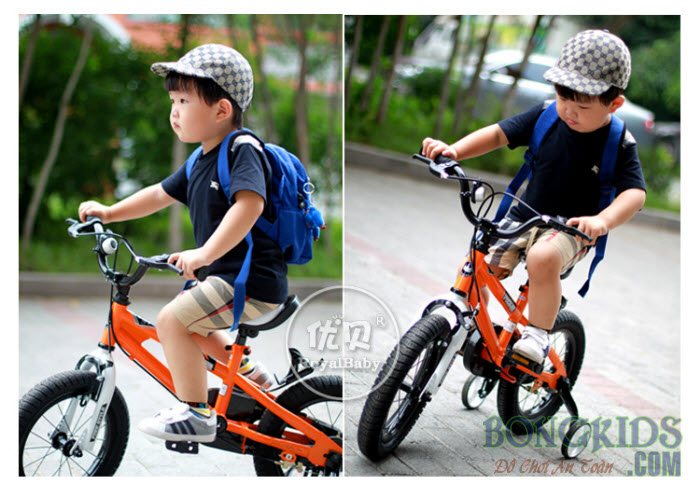 Xe đạp Royal Freestyle cho bé